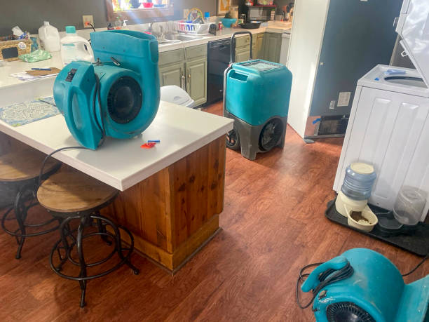 Best Sewage cleanup and water damage restoration  in Lordship, CT